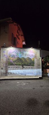 Il Gatto Nero by null