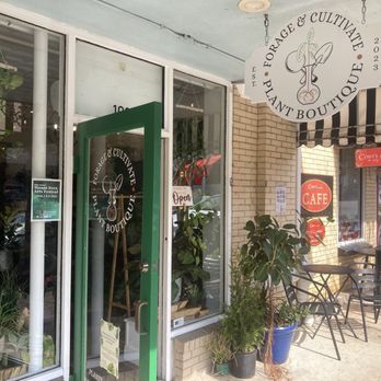 Forage and Cultivate - Nurseries & Gardening Near Me - Mount Dora, Florida Forage and Cultivate - Nurseries & Gardening Near Me - Mount Dora, Florida