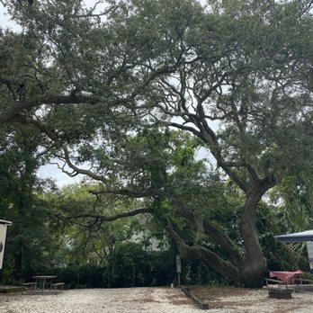 Rivers End Campground - Nice spacious sites w full hookup including dump at each spot - RV Parks Near Me - Tybee Island, Georgia Rivers End Campground - Nice spacious sites w full hookup including dump at each spot - RV Parks Near Me - Tybee Island, Georgia