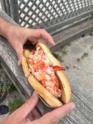 Barking Claw by null