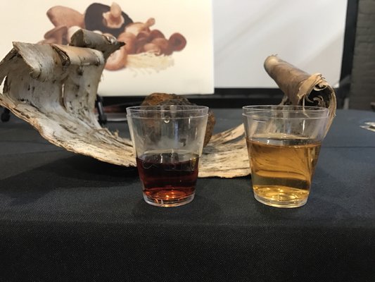 Brooklyn EXPO Center by null