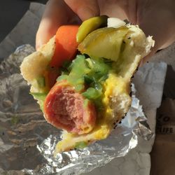 The Salty Seagull - Windy City Dog