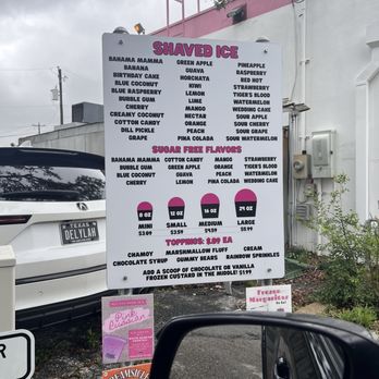 Frozen Flamingo - Menu as of May 2024 - Desserts Near Me - Georgetown, Texas
