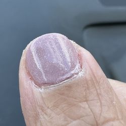 Venus Nails Palace - Manicure with polish