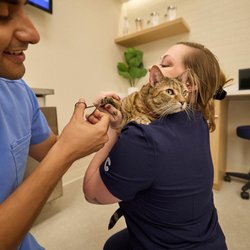 Chewy Vet Care Highlands Ranch