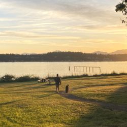 Fort Ward Park - Dog walker at dusk at Fort Ward.