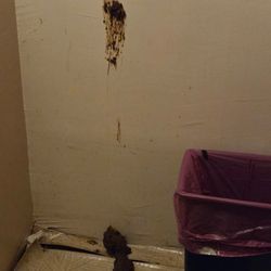 Hannaford Supermarket - Bathroom []