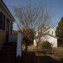 Photo of Top Notch Tree Care