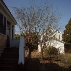Top Notch Tree Care