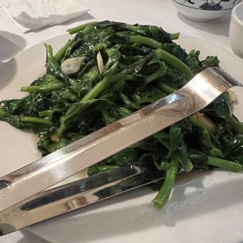 Legend of Taste - Szechuan Near Me - Whitestone, New York Legend of Taste - Szechuan Near Me - Whitestone, New York
