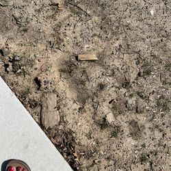 A Pool Day - Debris from my previous pool left in my yard