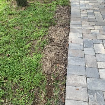 Green Earth Solutions - New sod - Pest Control Near Me - Jacksonville, Florida Green Earth Solutions - New sod - Pest Control Near Me - Jacksonville, Florida