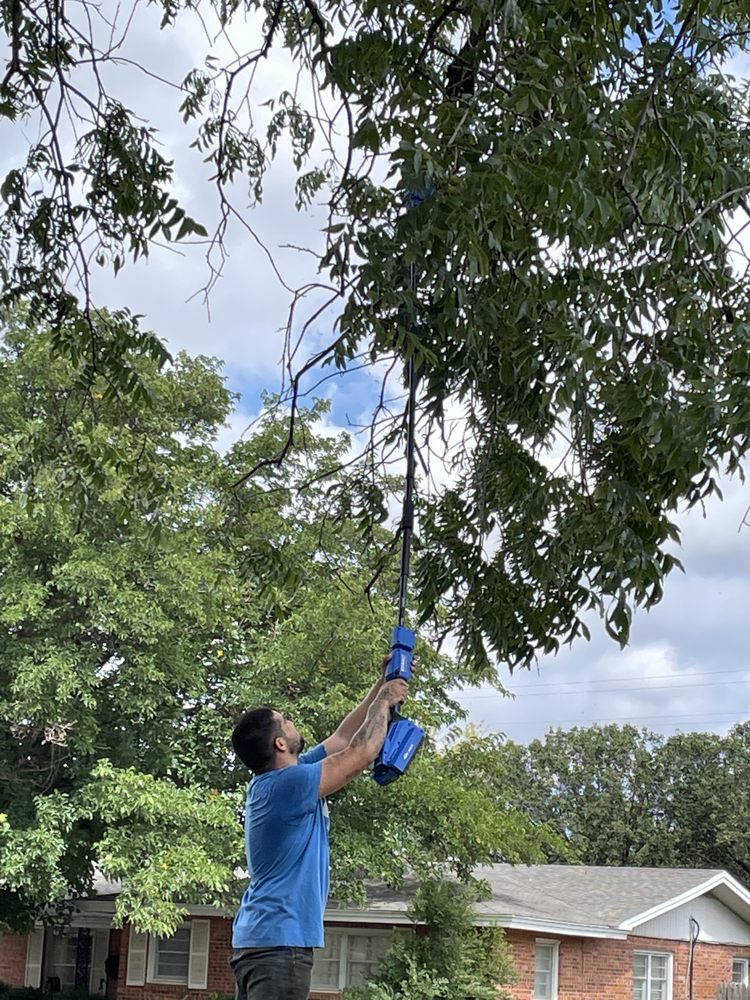 BABER’S TREE & LANDSCAPING Slaton, Texas Tree Services Phone