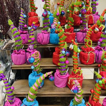 QFC - Christmas plants on sale! - Grocery Near Me - Newcastle, Washington QFC - Christmas plants on sale! - Grocery Near Me - Newcastle, Washington