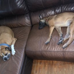 These two had a fantastic day and are wore out