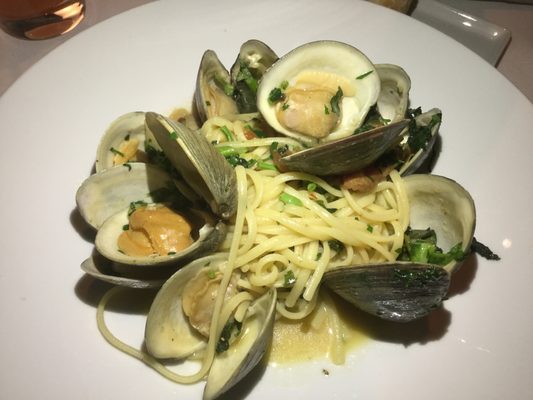 Primi Piatti by null