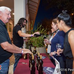 Grapes to Glass Art & Wine Festival