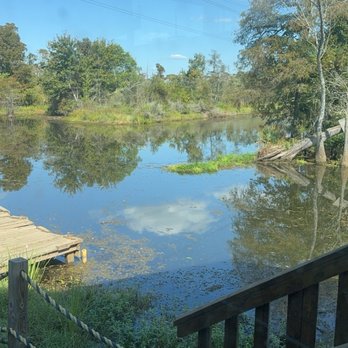 Bluebird Fish Camp - Scenic Bayou views from the patio. - New American Near Me - Orange, Texas