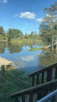 Bluebird Fish Camp by null