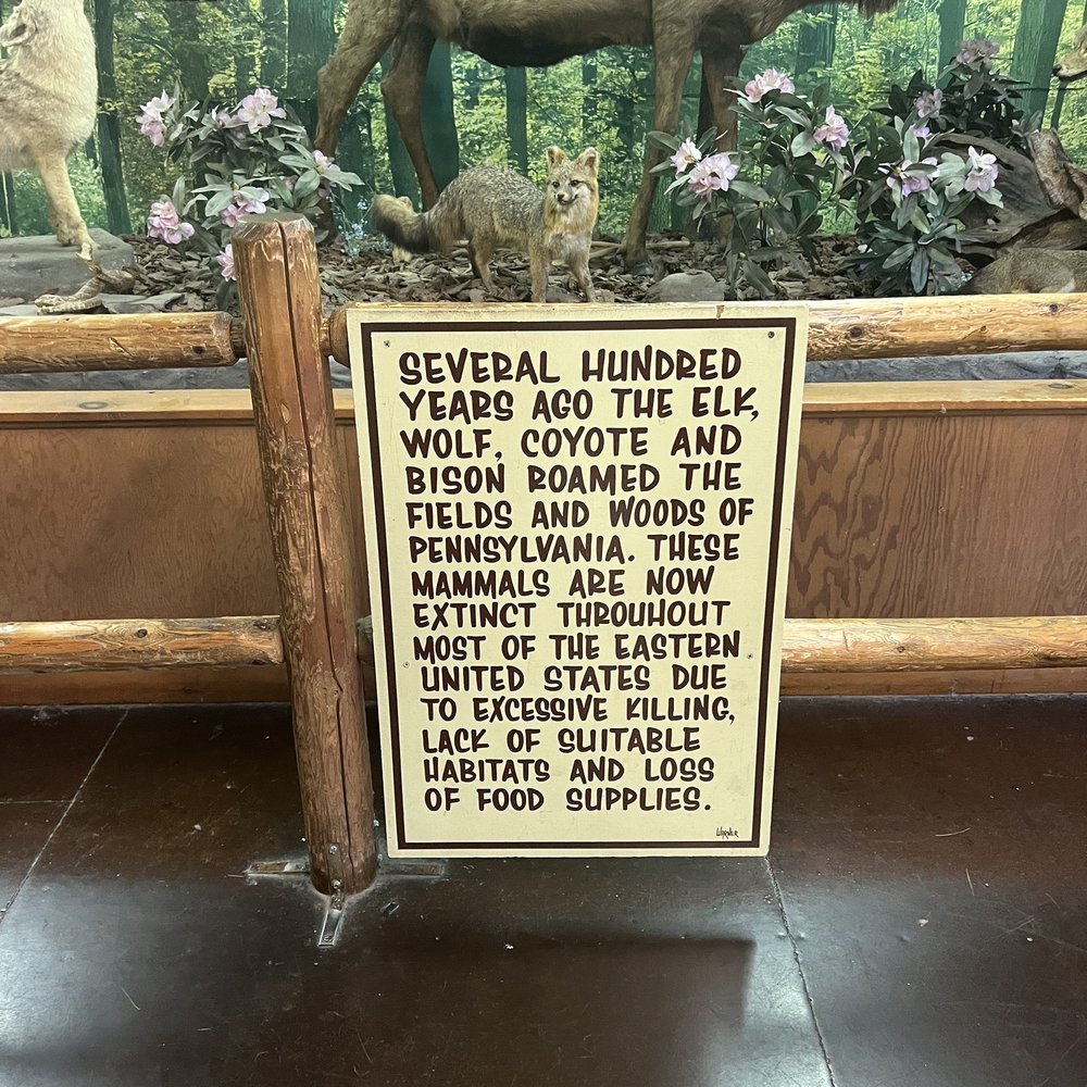 Bushkill Falls - Tours Near Me - Bushkill, Pennsylvania Bushkill Falls - Tours Near Me - Bushkill, Pennsylvania