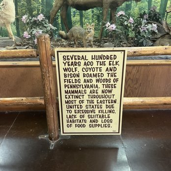 Bushkill Falls - Tours Near Me - Bushkill, Pennsylvania Bushkill Falls - Tours Near Me - Bushkill, Pennsylvania
