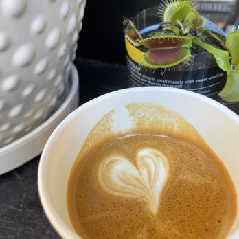Novo Coffee - Coffee & Tea Near Me - Denver, Colorado Novo Coffee - Coffee & Tea Near Me - Denver, Colorado