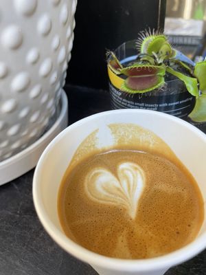 Novo Coffee by null