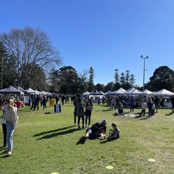 Speers Point Park - Markets