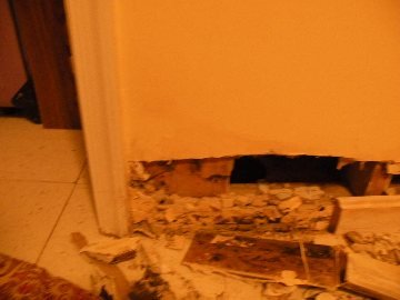 Slide of Services Squad