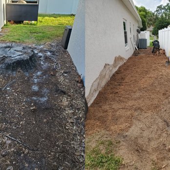 Stump Professionals - Stump grinding Tampa Fl. - Tree Services Near Me - Land O Lakes, Florida Stump Professionals - Stump grinding Tampa Fl. - Tree Services Near Me - Land O Lakes, Florida