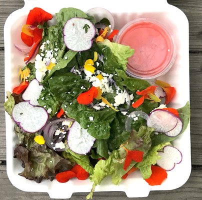 Colectivo Felix by null