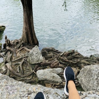 McKinney Falls State Park - Not snakes...tree roots! - Parks Near Me - Austin, Texas McKinney Falls State Park - Not snakes...tree roots! - Parks Near Me - Austin, Texas