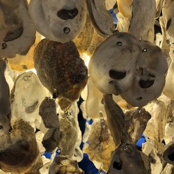 Rick's Lighting & Supplies - Made from oyster shells. Cool