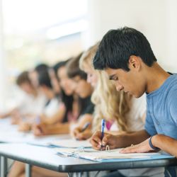 The Princeton Review