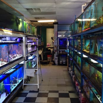 Fish 4 U - Local Fish Stores Near Me - Salt Lake City, Utah