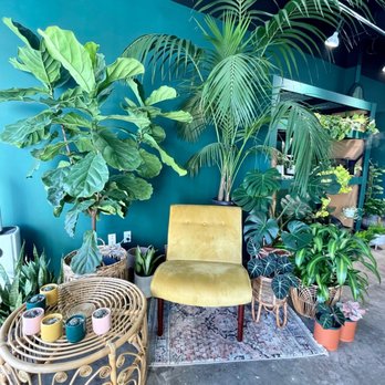 Plantoem - Love this little corner! - Cafes Near Me - Honolulu, Hawaii