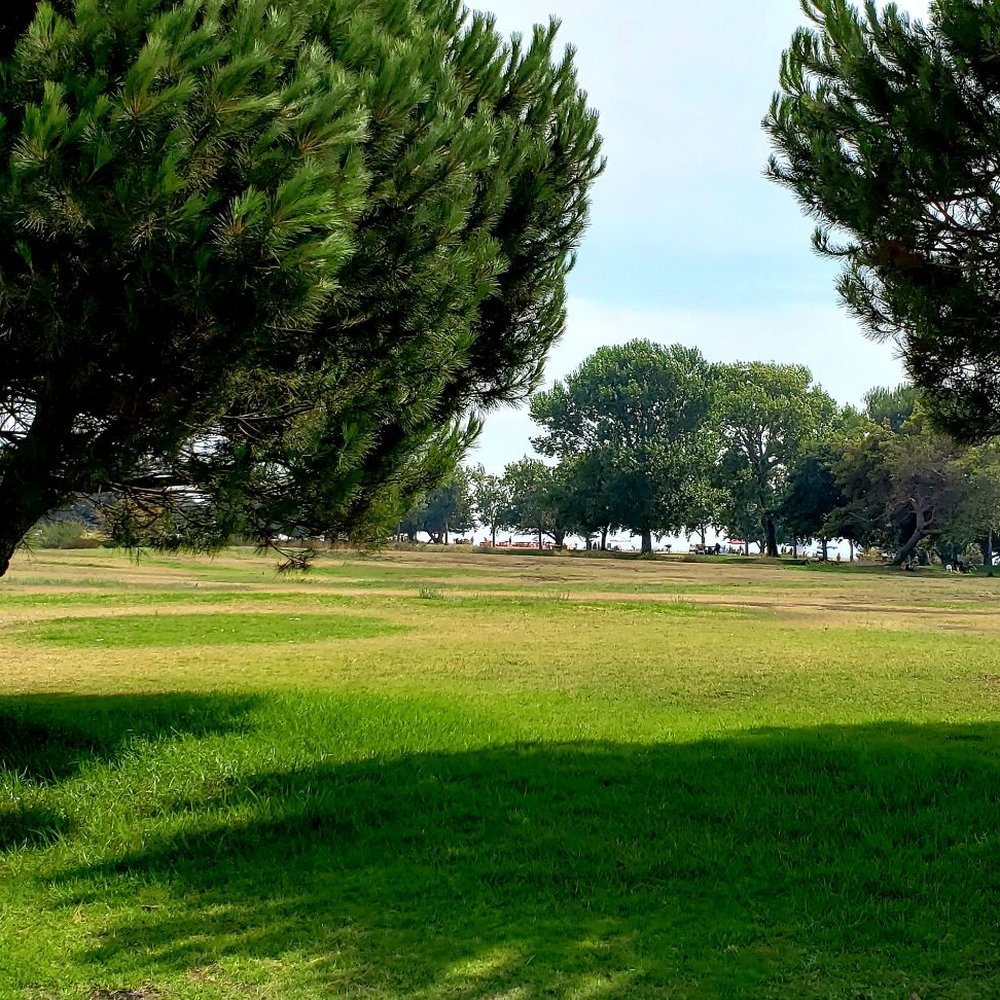 Alameda Beach - Beaches Near Me - Alameda, California