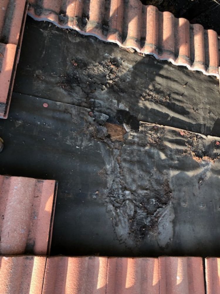 Slide of Alex's Hauling & Demo