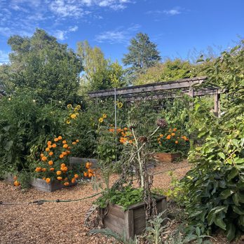 Home - New American Near Me - Soquel, California Home - New American Near Me - Soquel, California