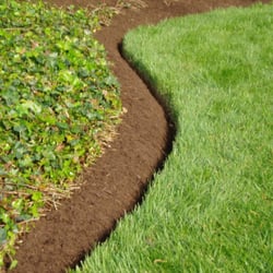 Mike's Professional Lawn Care