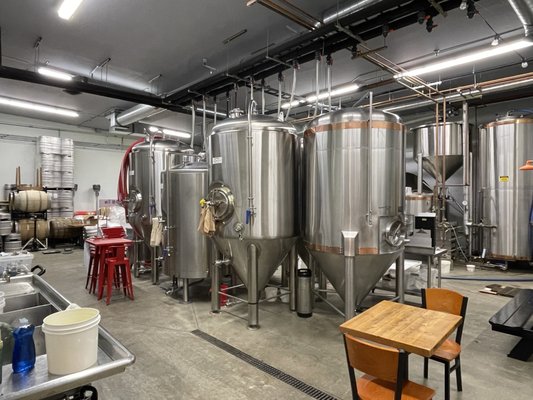 Cynosure Brewing by null