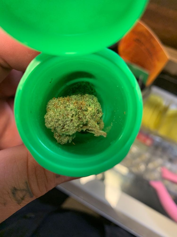 TREE HOUSE CANNABIS DISPENSARY CLOSED Updated April 2024 15