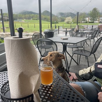 Peaceful Side Social - Heck of a view from there Patio - Breweries Near Me - Townsend, Tennessee Peaceful Side Social - Heck of a view from there Patio - Breweries Near Me - Townsend, Tennessee