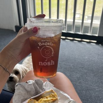 Nosh NY Bagels - Egg and Egg & Cheese - Bagels Near Me - Hilton Head Island, South Carolina