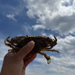 Sandy Point State Park