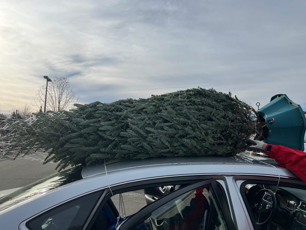 TROSA CHRISTMAS TREE LOT TEMP. CLOSED Updated September 2024 12 Photos & 13 Reviews 8160
