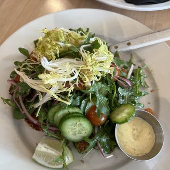 Madi - Schitnzel plate - Breakfast & Brunch Near Me - San Diego, California Madi - Schitnzel plate - Breakfast & Brunch Near Me - San Diego, California