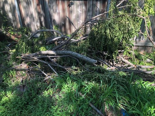 Dynamic Landscaping and Junk Hauling