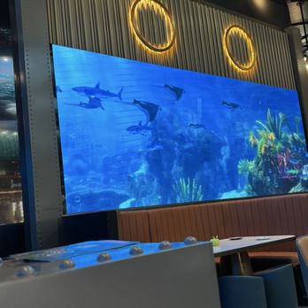 Juicy Dumplings - Aquarium screens - Chinese Near Me - Euless, Texas