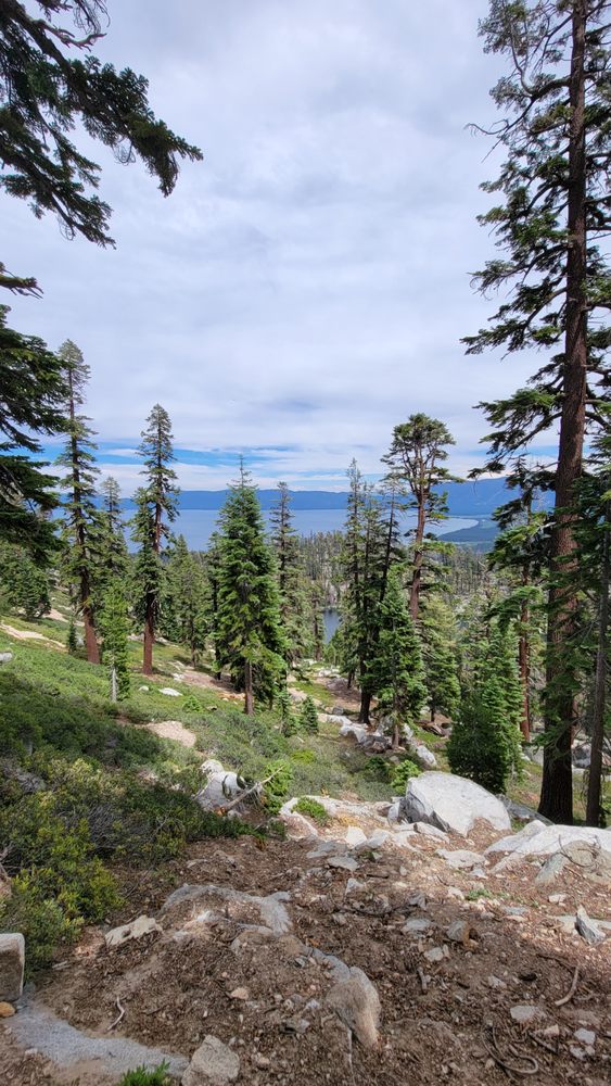 Desolation Wilderness Logo